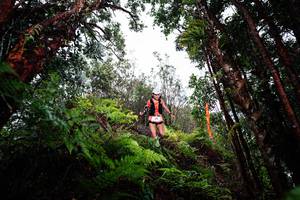 BIB: 
                            <button type="button" onclick="openModal(26204972)" class="btn btn-primary btn-sm float-right btn-popup" data-toggle="modal" data-target=".modal-high-quality">
                        <i class="fas fa-shopping-cart"></i> Add to Cart
                    </button>
                                            <button type="button" onclick="isThisMe(26204972, true)" class="btn btn-success btn-sm float-right btn-popup btn-isme hidden" data-toggle="tooltip" data-placement="bottom" title="นี่คือรูปของคุณใช่ไหม คลิกที่นี่เพื่อเอาเข้าอัลบั้ม">
                        <i class="fas fa-plus"></i> Add to album
                    </button>
                    <button type="button" onclick="isThisMe(26204972, false)" class="btn btn-warning btn-sm float-right btn-popup btn-isnotme hidden">
                        <i class="fas fa-ban"></i> Remove from album
                    </button>